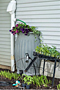 Rain Barrel 55 